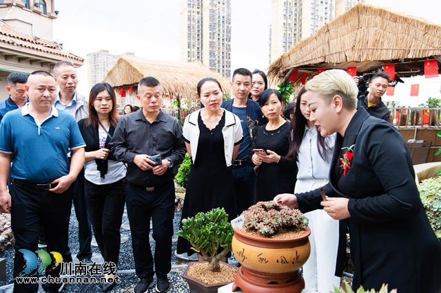 目測馬上網(wǎng)紅！“蔓多米多肉花園”驚艷亮相瀘州關(guān)口！(圖5)