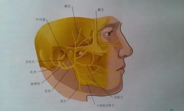 【太慘】一跤摔下去，男子下巴歪了、耳朵掉了？(圖2)