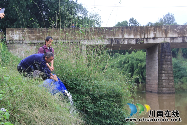 瀘縣云龍鎮(zhèn)：放魚(yú)養(yǎng)水，助力河流生態(tài)環(huán)境改善(圖2)