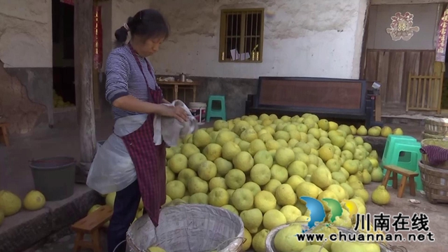 合江真龍柚：地里直搭上外賣遠(yuǎn)程快車(圖1)