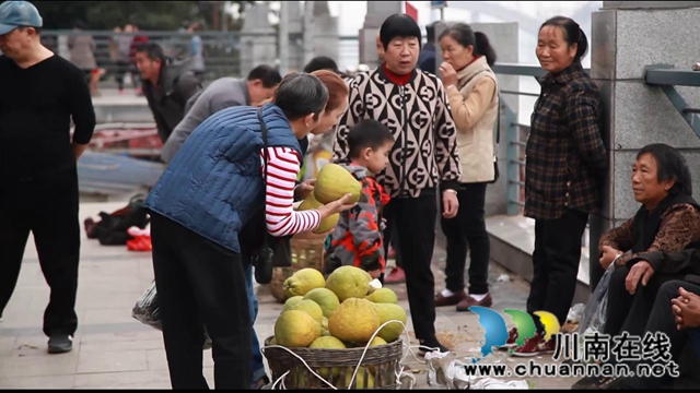 合江：肩條豐挑，長江北岸耕作人將迎出行之變！(圖4)