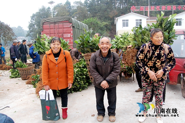 納溪“特聘村主任”李文金：退休創(chuàng)業(yè)功成，回鄉(xiāng)扶助鄉(xiāng)親(圖3)