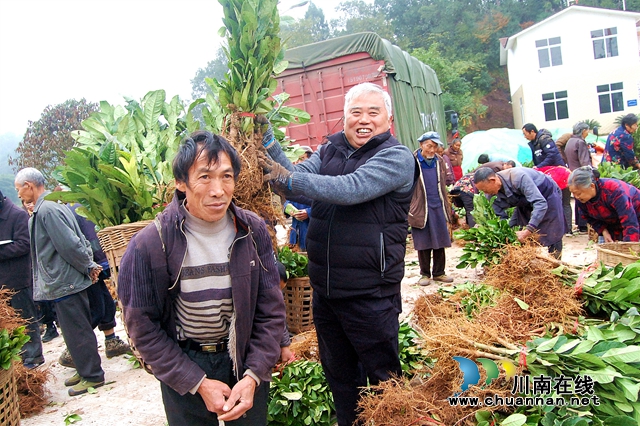 納溪“特聘村主任”李文金：退休創(chuàng)業(yè)功成，回鄉(xiāng)扶助鄉(xiāng)親(圖1)