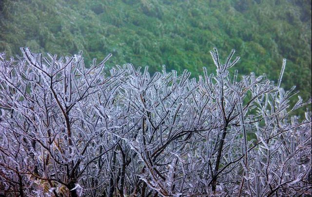 2020敘永、古藺初雪美景圖(圖4)