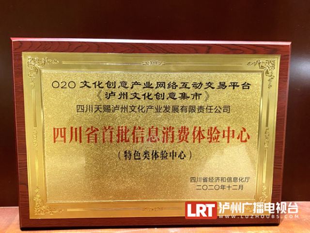 四川為首批10個(gè)信息消費(fèi)體驗(yàn)中心授牌 瀘州兩個(gè)項(xiàng)目入選(圖4)