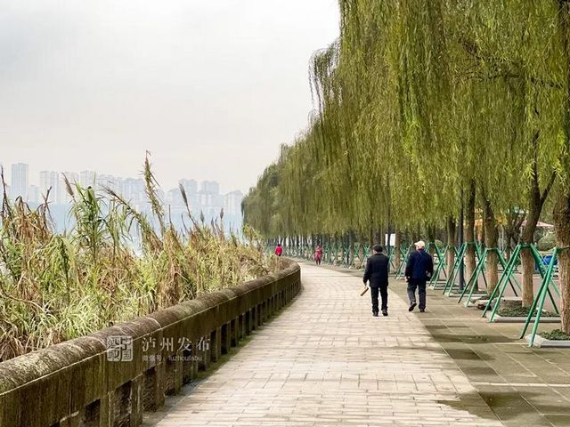 瀘州長江濱江路景觀已恢復(fù)原貌，四條景觀大道升級完成(圖2)