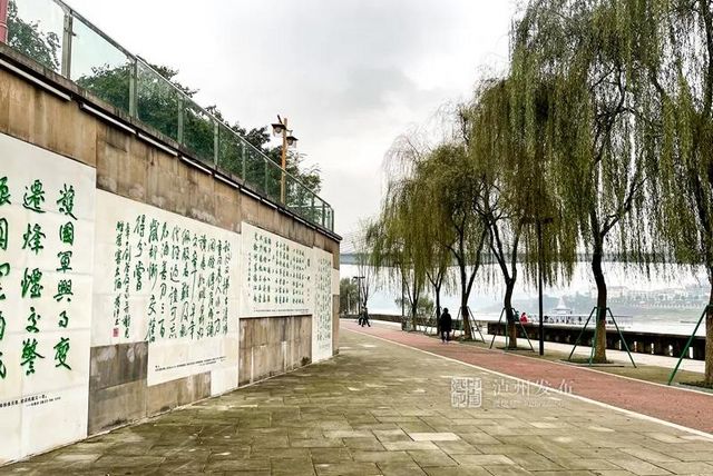 瀘州長江濱江路景觀已恢復(fù)原貌，四條景觀大道升級完成(圖3)