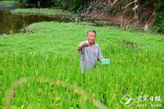 正式印發(fā)！《宜賓三江新區(qū)發(fā)展總體規(guī)劃》出爐，新區(qū)將迎來更大發(fā)展！(圖10)