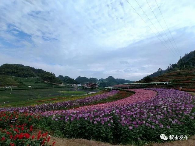 瀘州唯一！敘永摩尼鎮(zhèn)獲“四川生態(tài)氣候標(biāo)志”授牌(圖4)