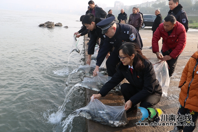 納溪法院：增殖放流，共同促進(jìn)長(zhǎng)江流域生態(tài)資源恢復(fù)(圖1)