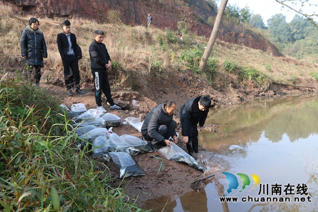 納溪法院：增殖放流，共同促進(jìn)長(zhǎng)江流域生態(tài)資源恢復(fù)(圖3)