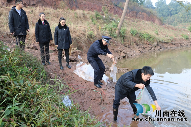 納溪法院：增殖放流，共同促進(jìn)長(zhǎng)江流域生態(tài)資源恢復(fù)(圖2)