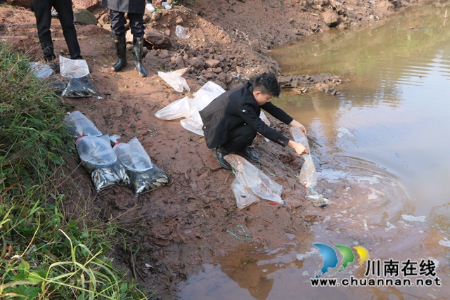 納溪法院：增殖放流，共同促進(jìn)長(zhǎng)江流域生態(tài)資源恢復(fù)(圖4)