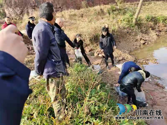 納溪法院：增殖放流，共同促進(jìn)長(zhǎng)江流域生態(tài)資源恢復(fù)(圖5)