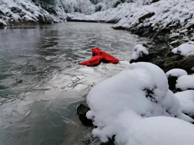 冰雪奇緣！快來古藺捕捉陽光下的雪封仙境！(圖13)