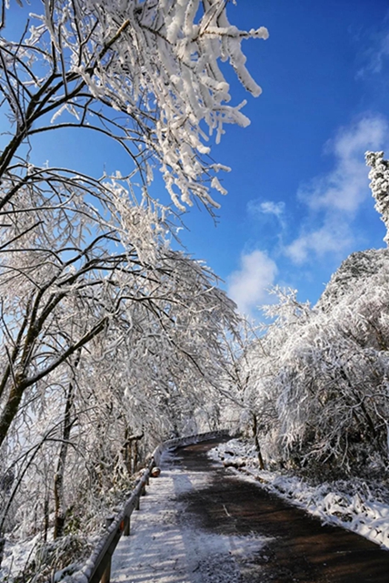 冰雪奇緣！快來古藺捕捉陽光下的雪封仙境！(圖14)