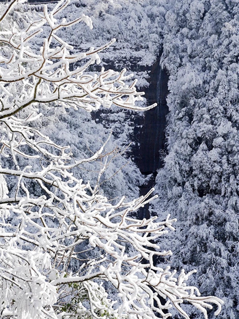 冰雪奇緣！快來古藺捕捉陽光下的雪封仙境！(圖20)