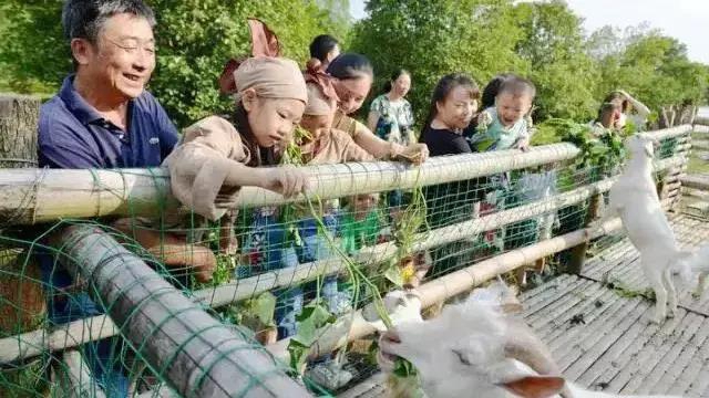 住房車，賞百草！新晉內(nèi)江網(wǎng)紅地“藥王谷”來了！(圖4)