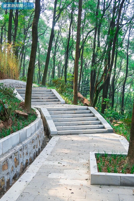 震撼！宜賓翠屏山又一網(wǎng)紅打卡地來了！巨大環(huán)形建筑、絕美棧道、360°觀景臺……(圖28)