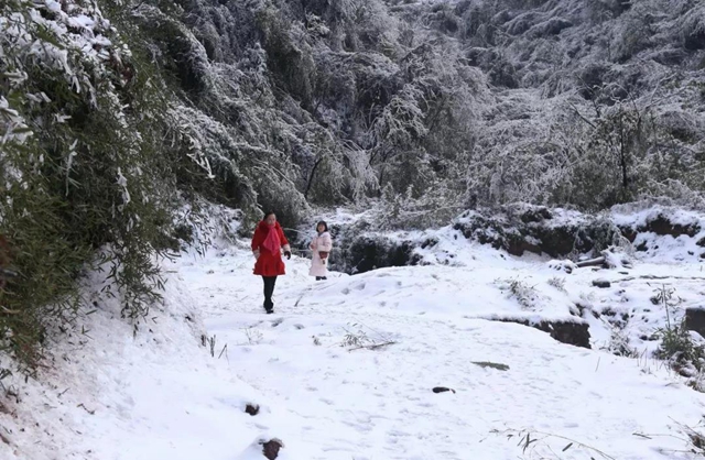 這些賞雪地點(diǎn)趕緊收藏！宜賓可能迎來新年第一場雪(圖5)