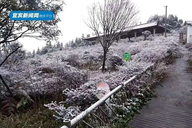 這些賞雪地點(diǎn)趕緊收藏！宜賓可能迎來新年第一場雪(圖18)