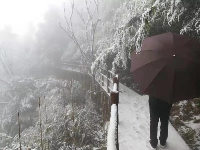 這些賞雪地點(diǎn)趕緊收藏！宜賓可能迎來新年第一場雪(圖25)