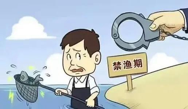 膽敢電魚，把你們處“痛”！內(nèi)江首例非法捕撈水產(chǎn)品案宣判(圖2)