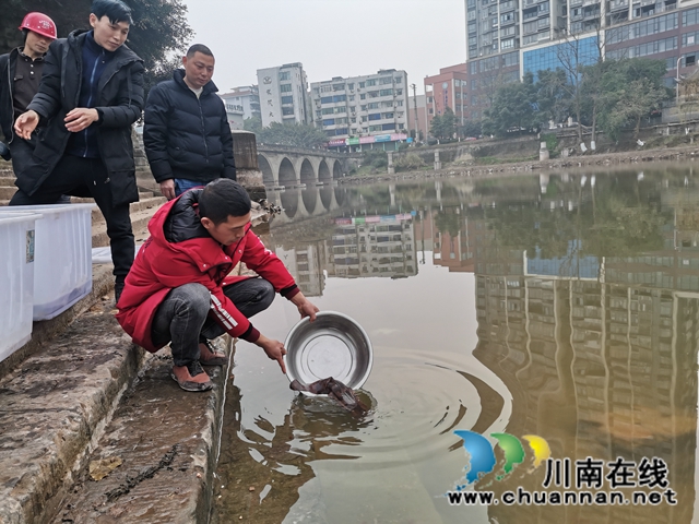 瀘縣首家娃娃魚養(yǎng)殖專業(yè)戶楊建章：養(yǎng)娃娃魚，有比賺錢更美好的事！(圖1)