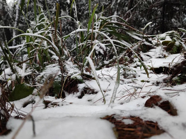 來方山，“雪”拼！(圖3)