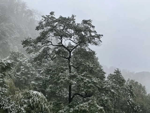 來方山，“雪”拼！(圖2)