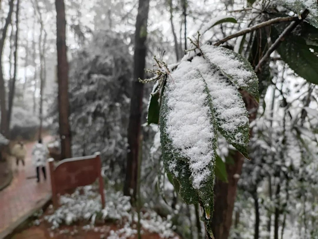 來方山，“雪”拼！(圖9)