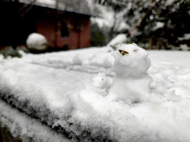 來方山，“雪”拼！(圖12)