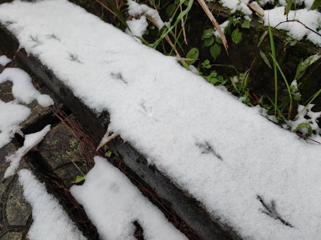 來方山，“雪”拼！(圖13)