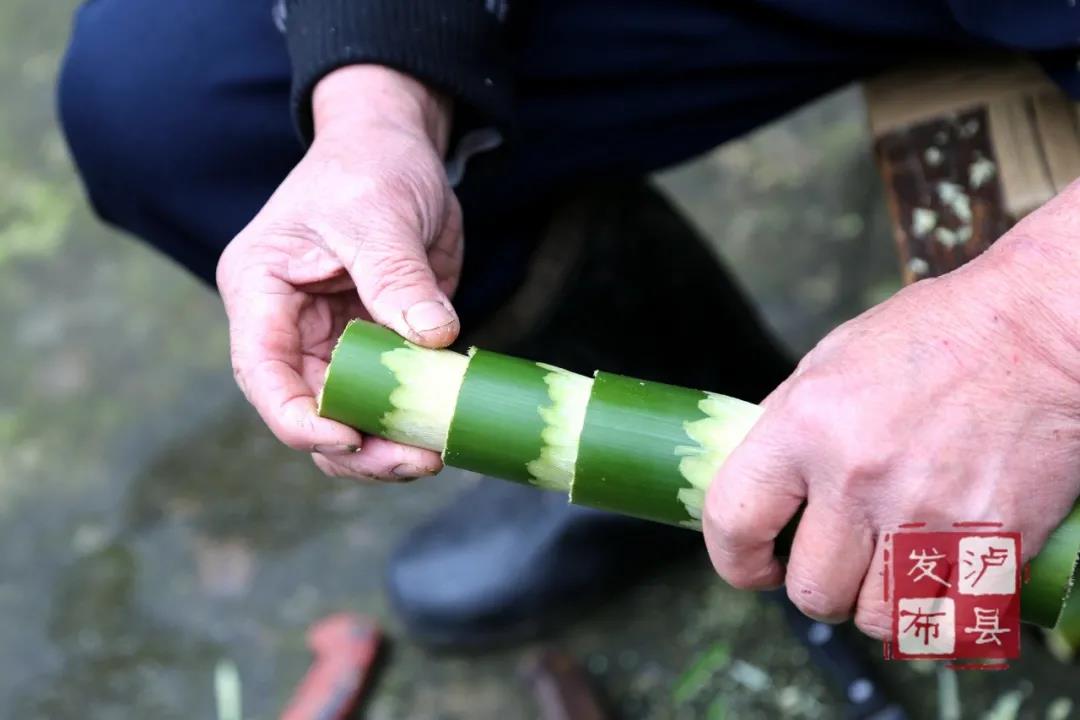 瀘州有種土樂器名叫“花號”，不知您見過沒？(圖10)