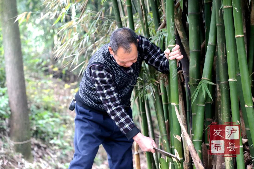 瀘州有種土樂器名叫“花號”，不知您見過沒？(圖5)