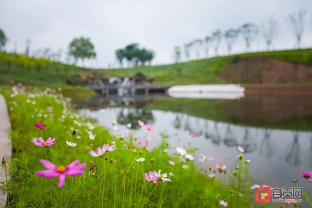 自貢主城區(qū)再添綠地公園！已向市民開放，就在這里！(圖6)