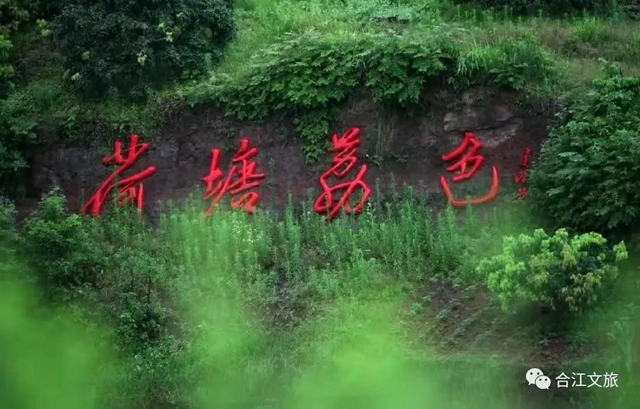 省級鄉(xiāng)村旅游重點鎮(zhèn)（鄉(xiāng)）、村建議名單公示，瀘州這些村入選！(圖4)