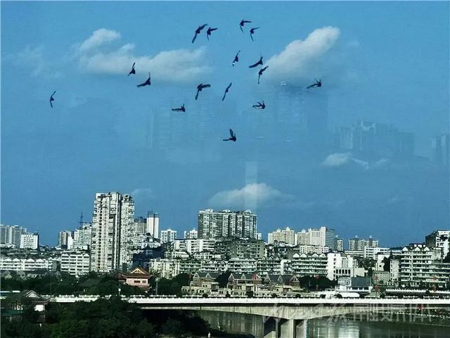 震撼！內江驚現“海市蜃樓"——(圖2)